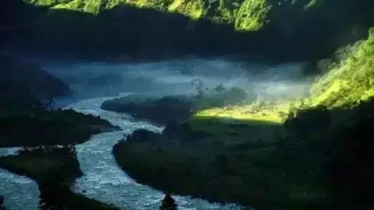 救援水管工