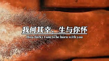 欧盟合规观察|中国车企出海:欧盟数据保护重点问题概述【走出去智库】