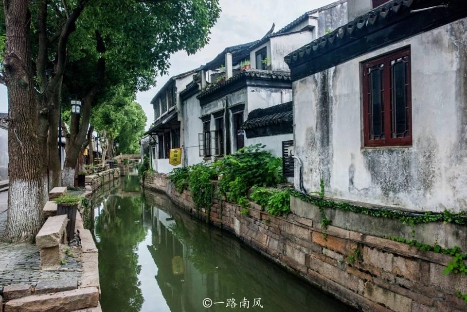 救援小洋葱